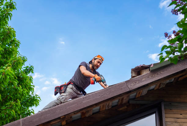 Best Roof Ventilation Installation  in Adelino, NM